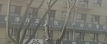 长春市南关区百合街康派东南侧约120米