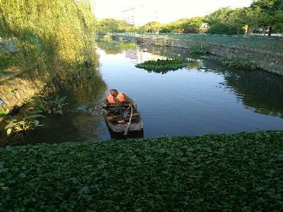 环沉村