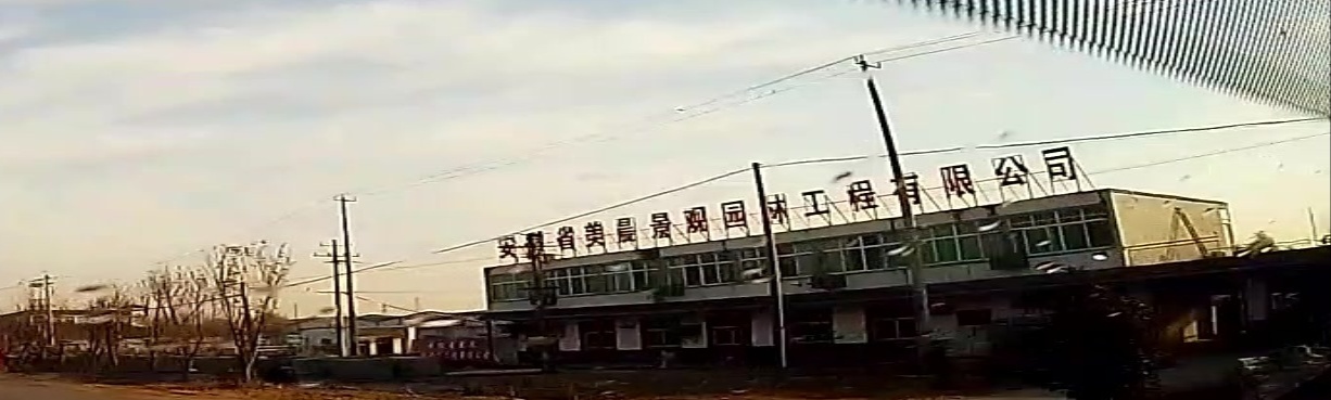 安徽省美晨景观园