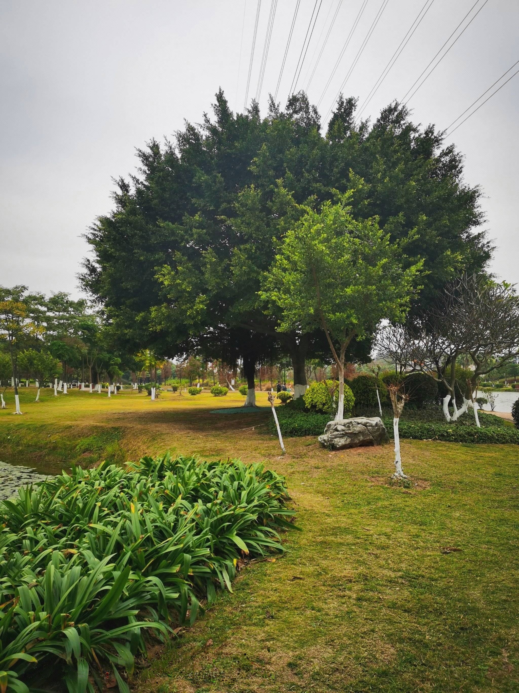 白坭休闲公园