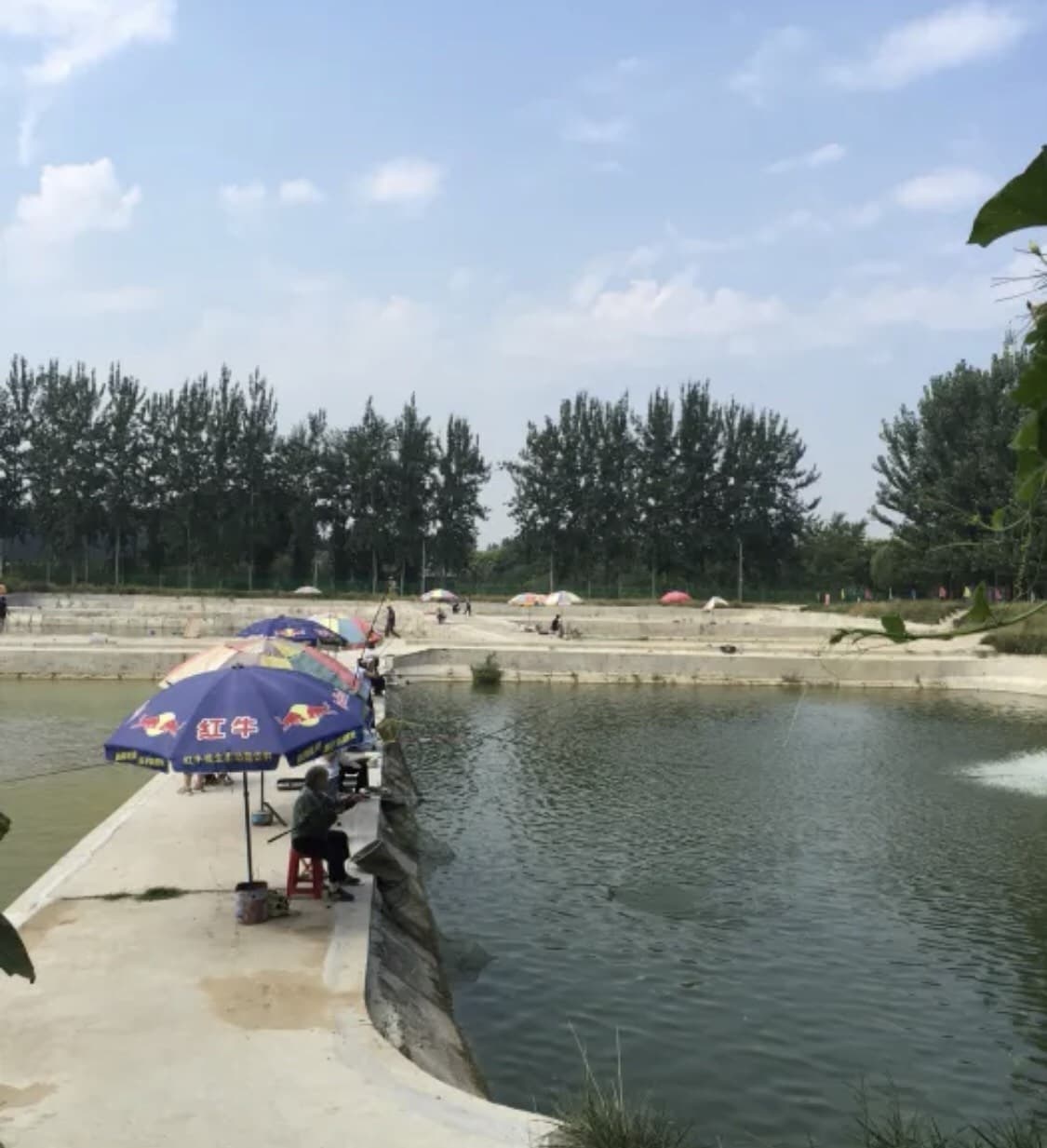 秦帅休闲垂钓中心