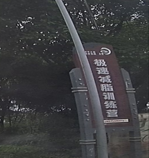 极速减职训练营