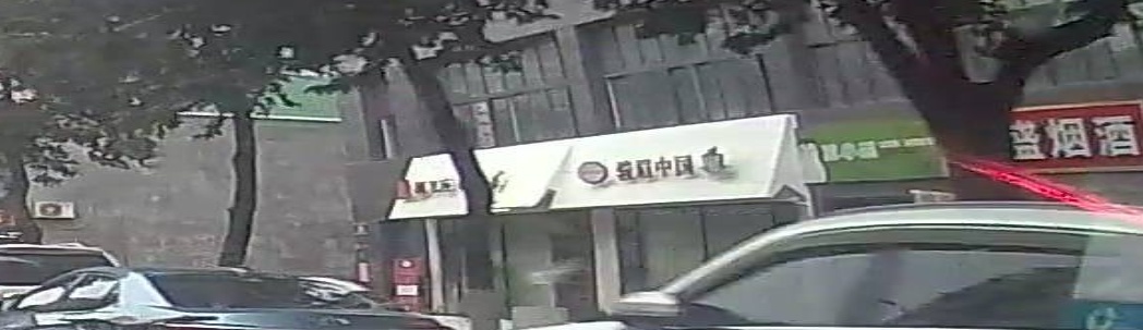 正山堂-骏眉中国·林飞应福鼎白茶旗舰店