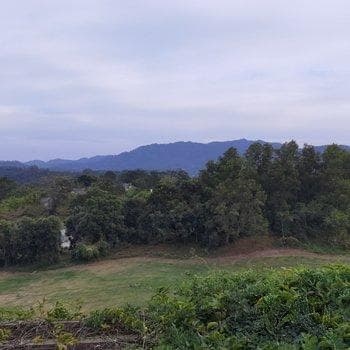 半山·温泉别墅区(惠州惠林温泉店)