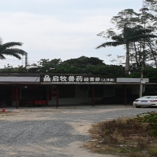 启牧兽药经营部(上洋店)