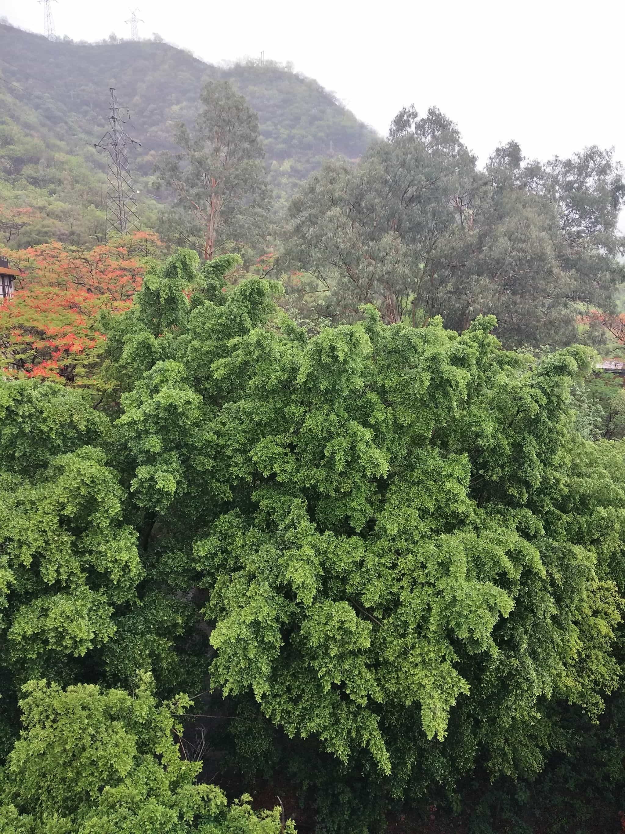 攀枝花新启物流园区
