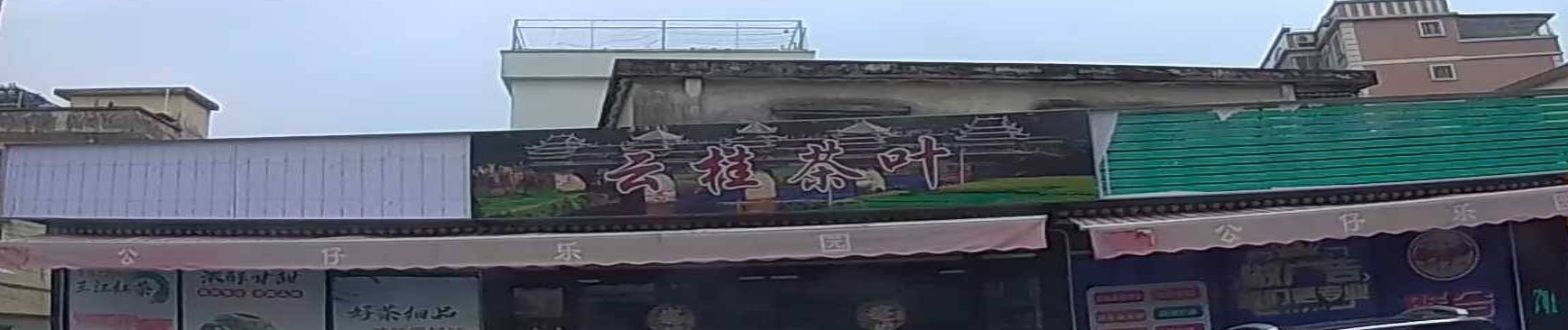 云桂茶叶