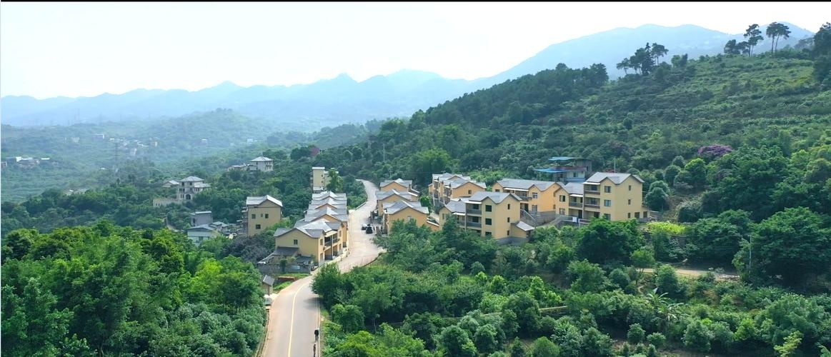 大石村