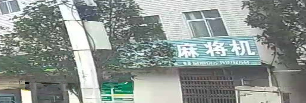 中雀麻将机(新城大道店)