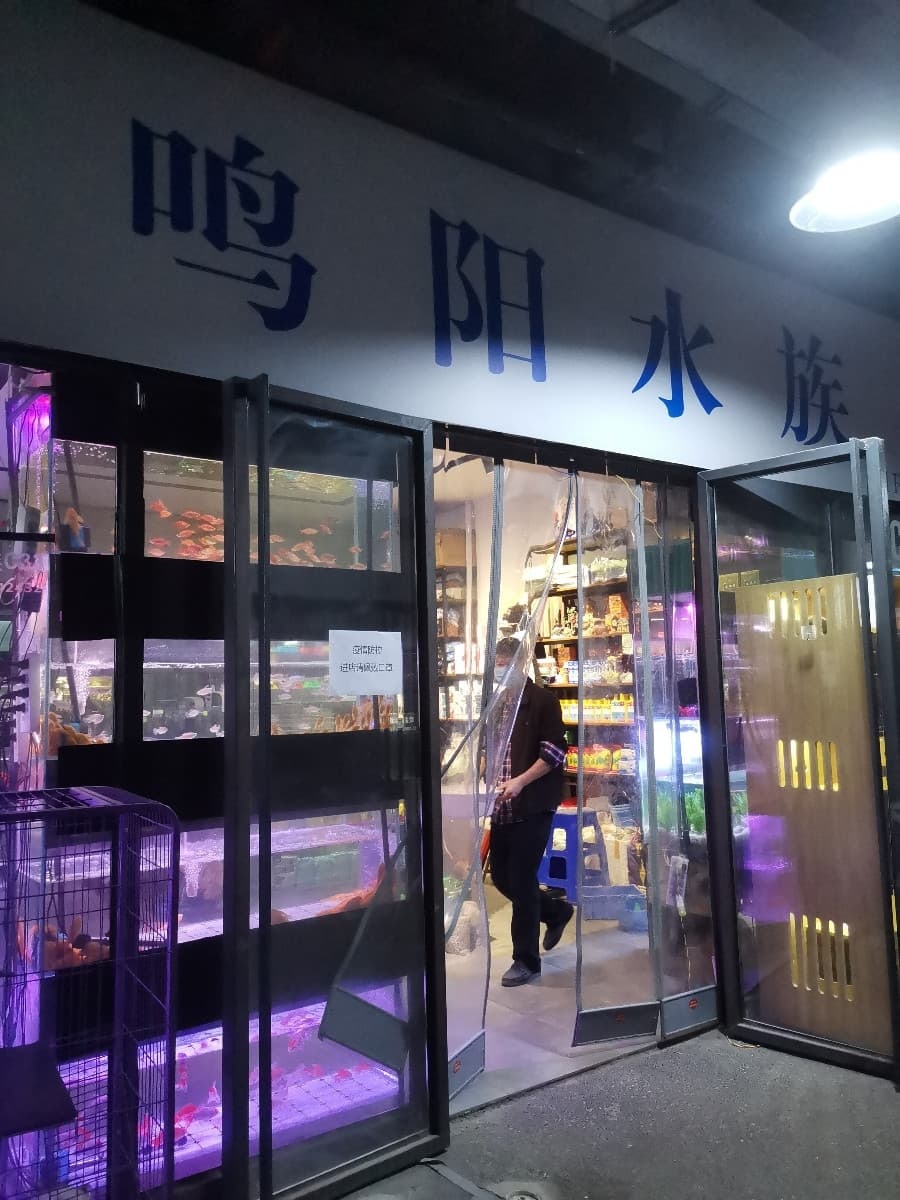 鸣阳水族