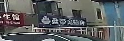 蓝带宠物店