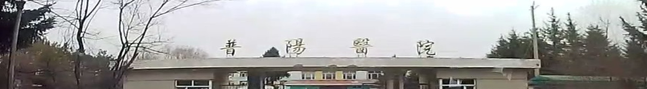 普阳医院