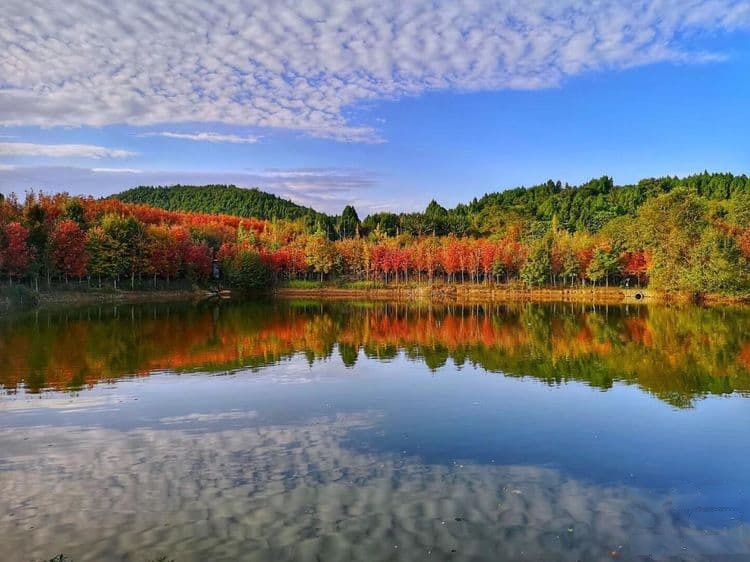 枫清湾景区