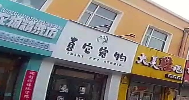 喜它宠物(秀水胡同店)