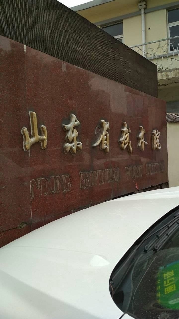 山东省武术院