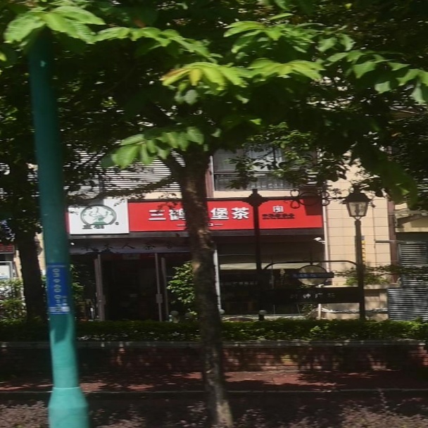 三鹤六堡茶(草木人茶舍)