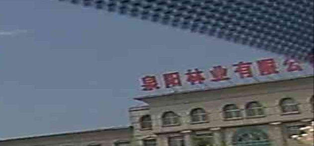吉林省泉阳林业局