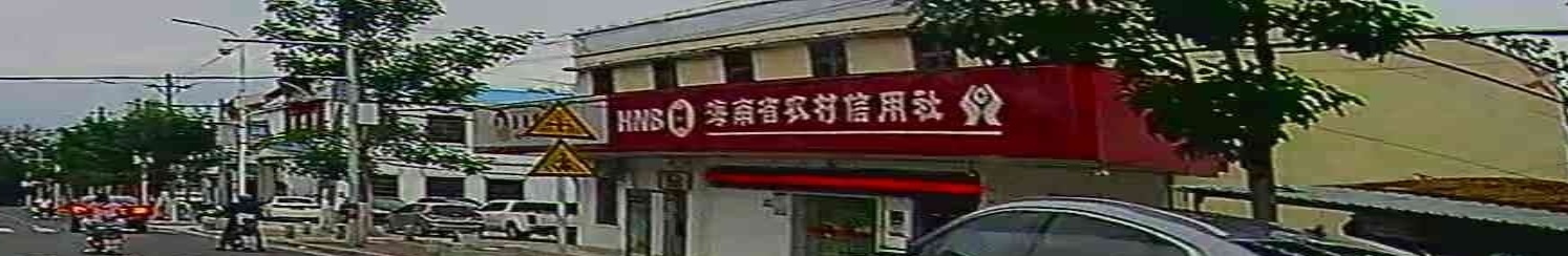 海南农村商业银行股份有限公司(乐东大安支行)