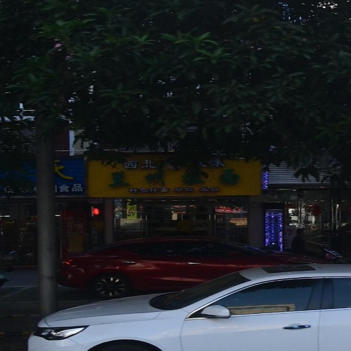 西北风味兰州拉面(宏益锦绣苑店)