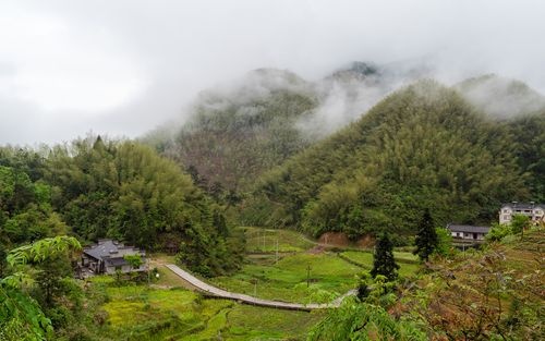 三青山镇