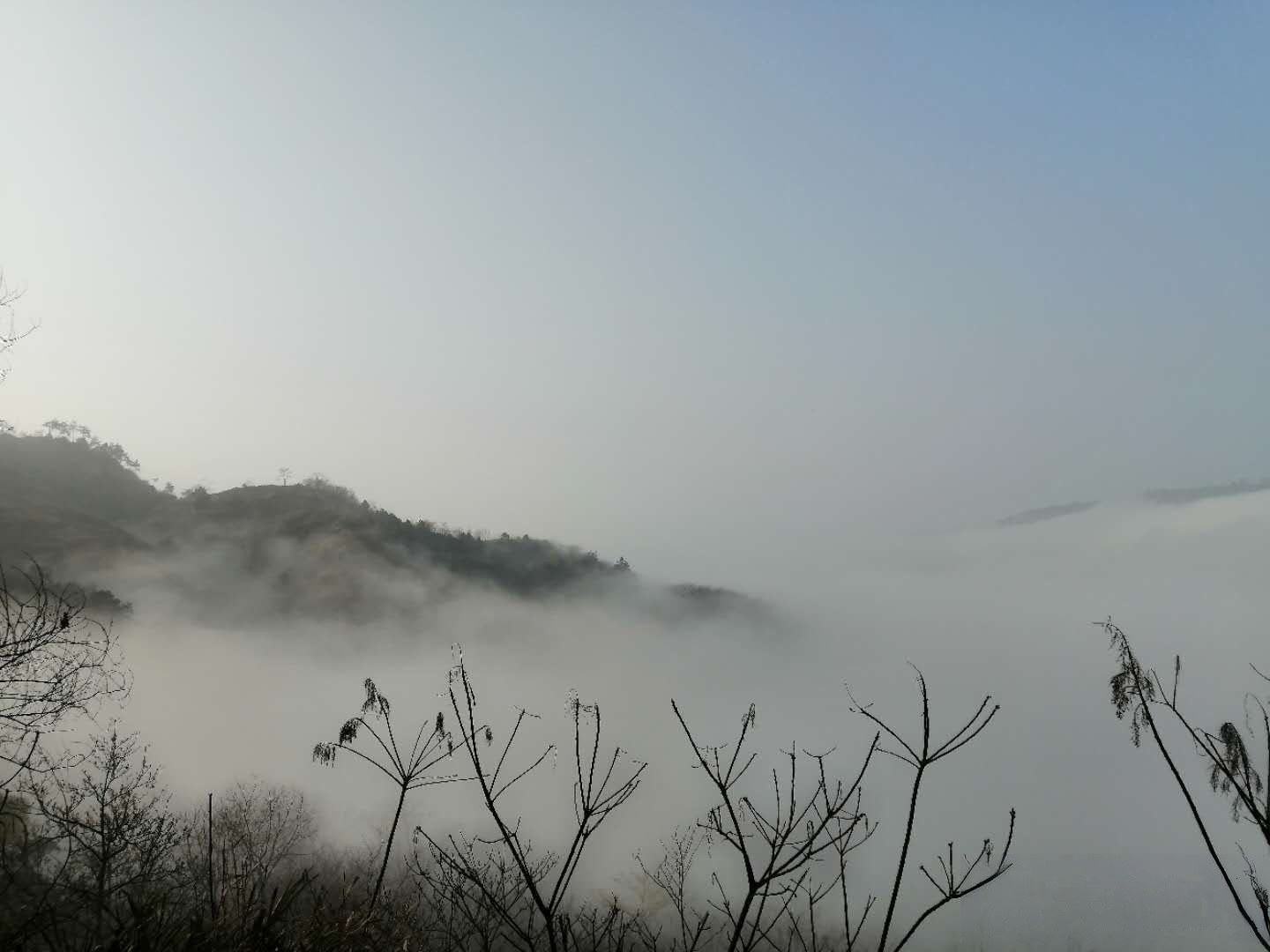 新昌县中国茶叶交易市场(新蟠线西)