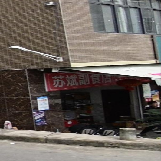 苏斌副食