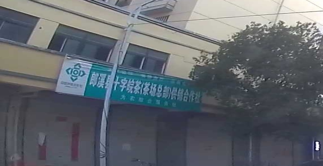 十字铺茶场