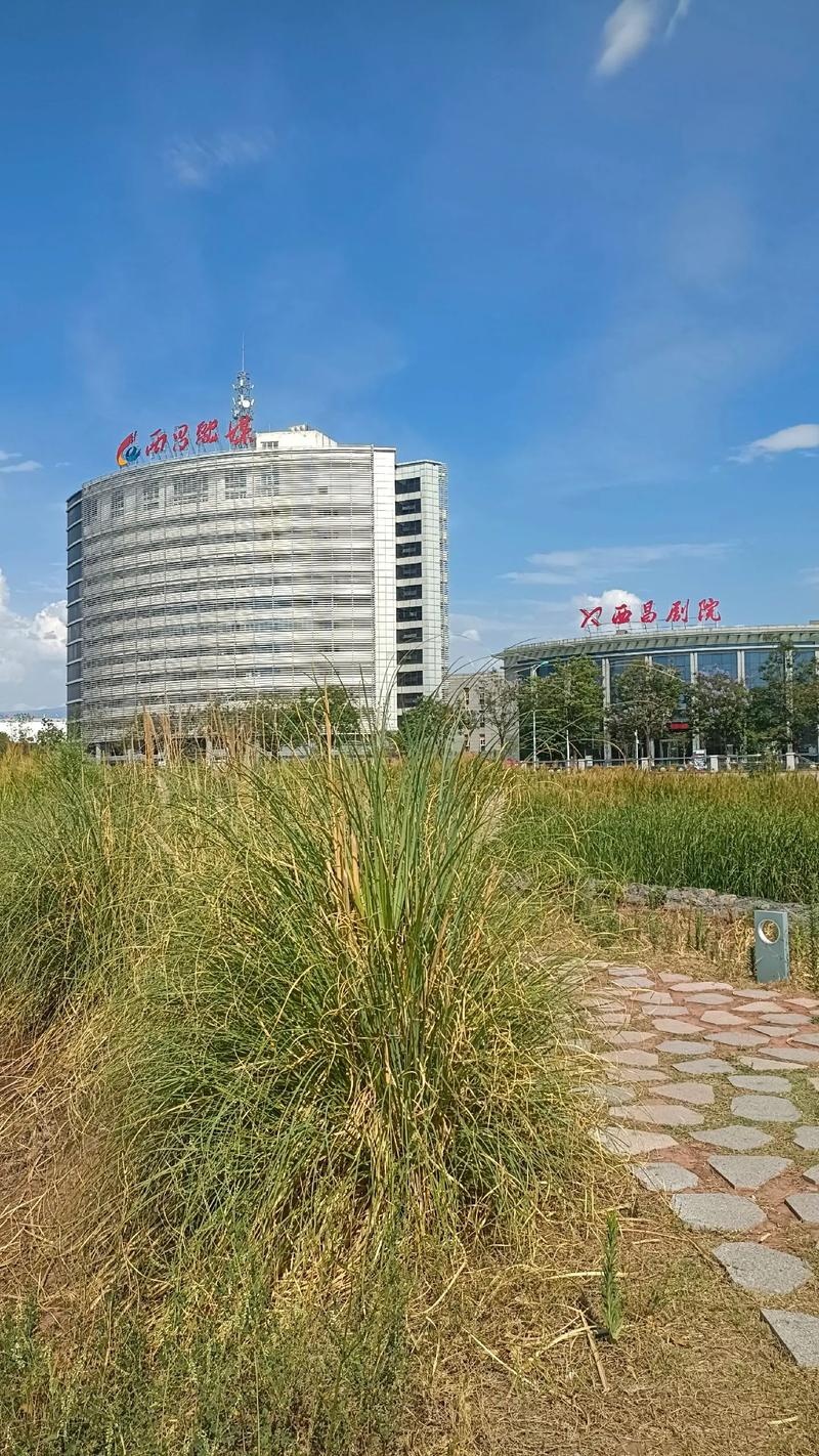 汉城新居