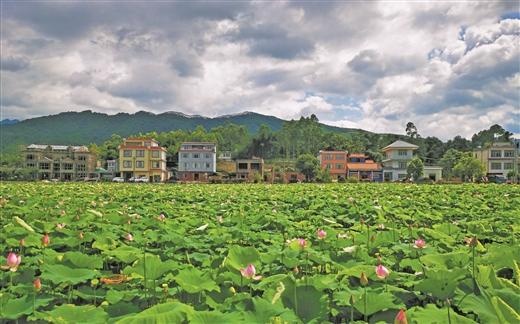 厚田村