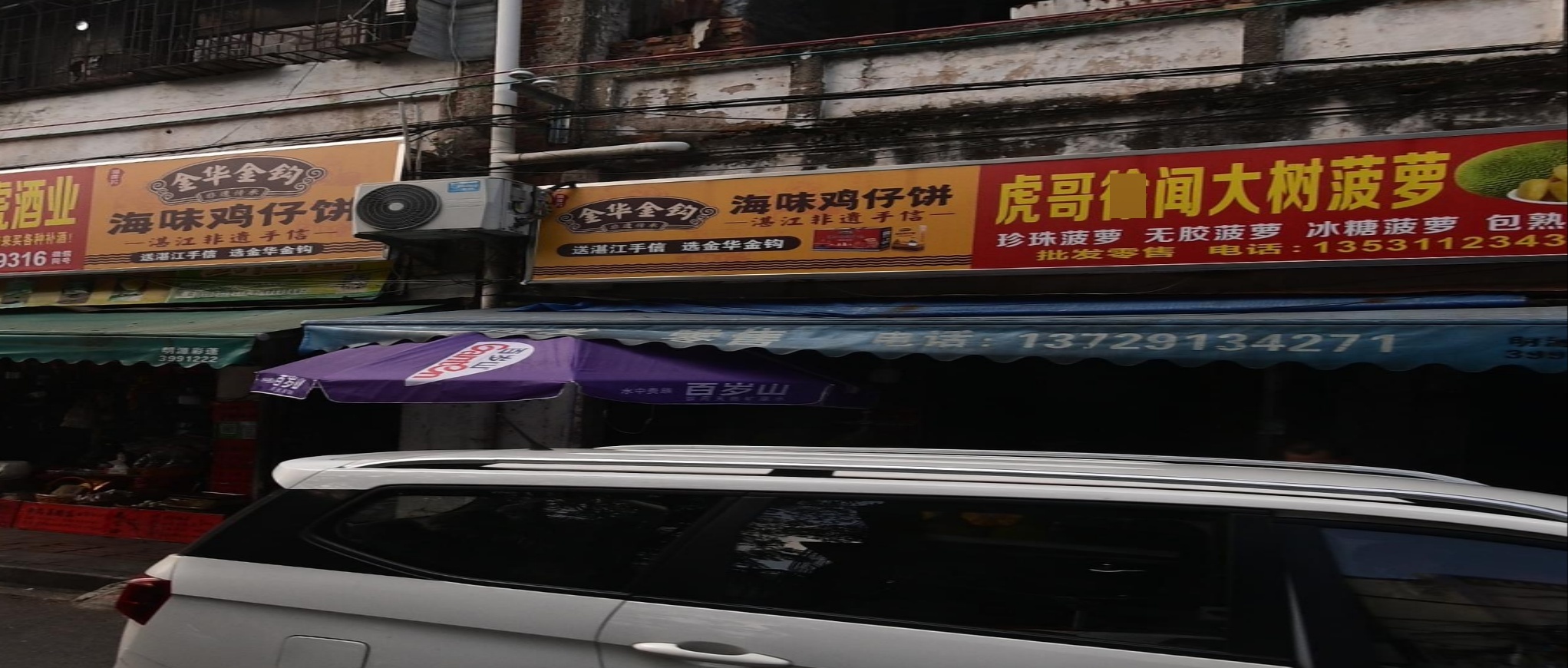 海金菠萝