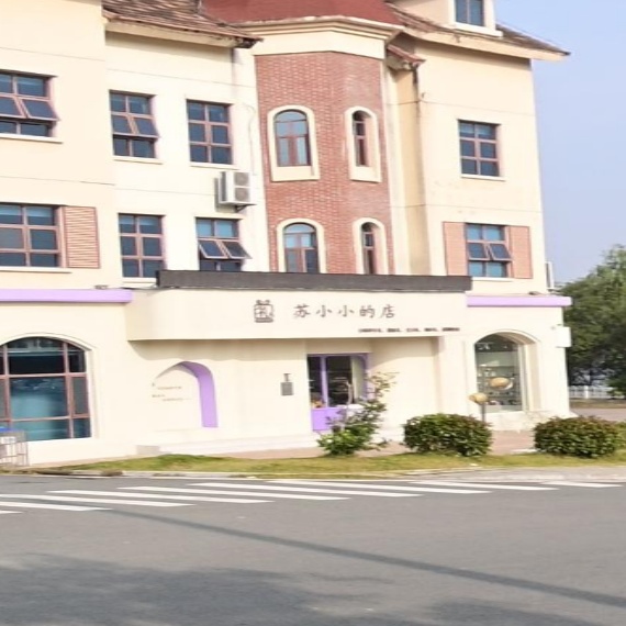 苏小小的店
