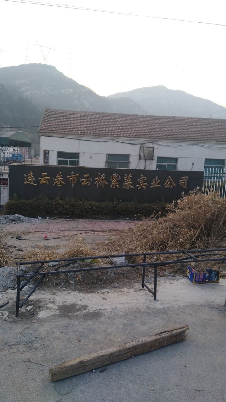 连云港市云桥紫菜实业公司