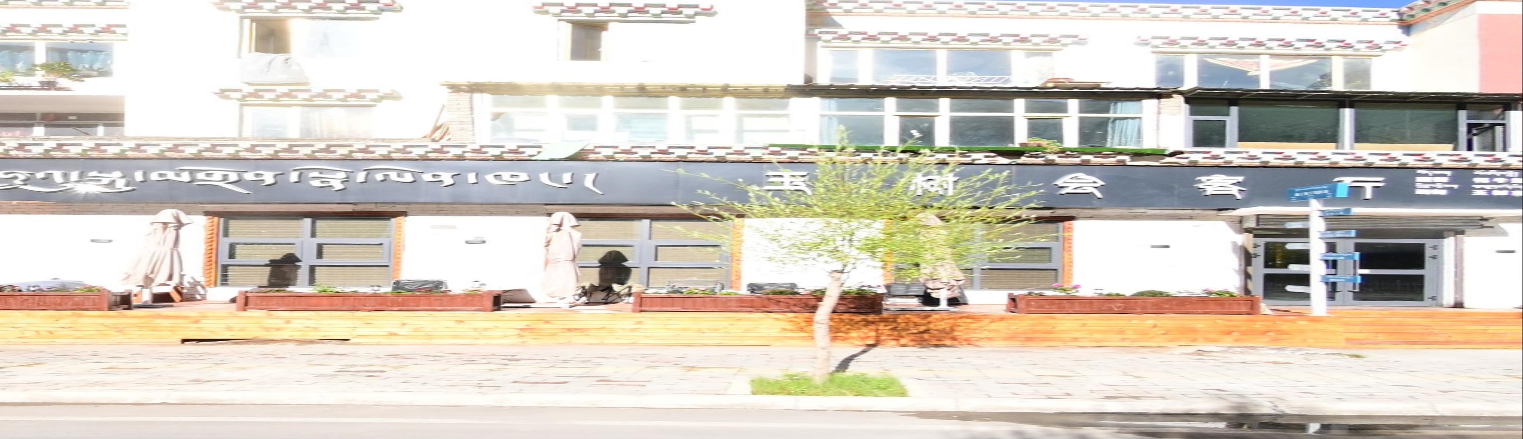 玉树会客厅(杂曲南路店)