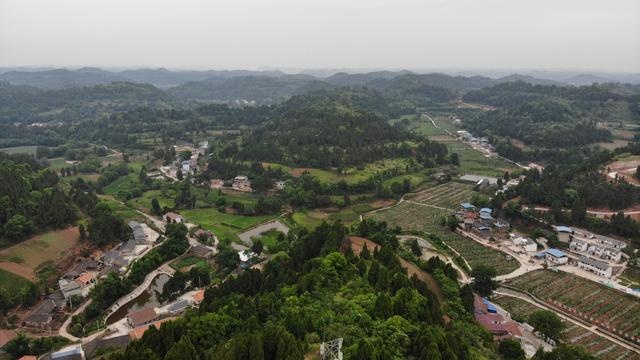 回马