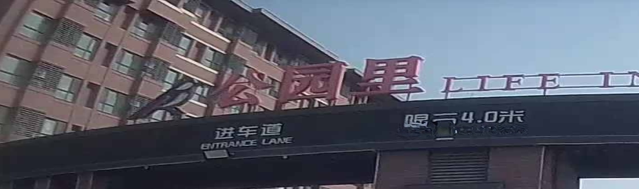 公园里