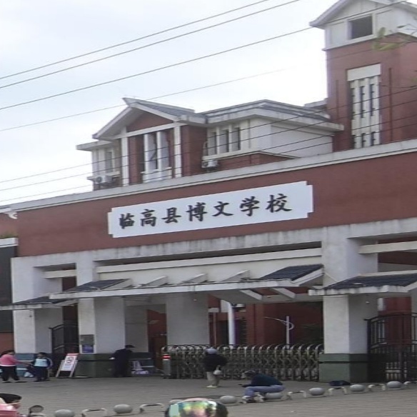 临高县博文学校