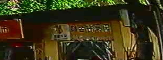 郁金香果园