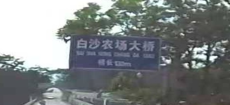 白沙农场茶城区四队