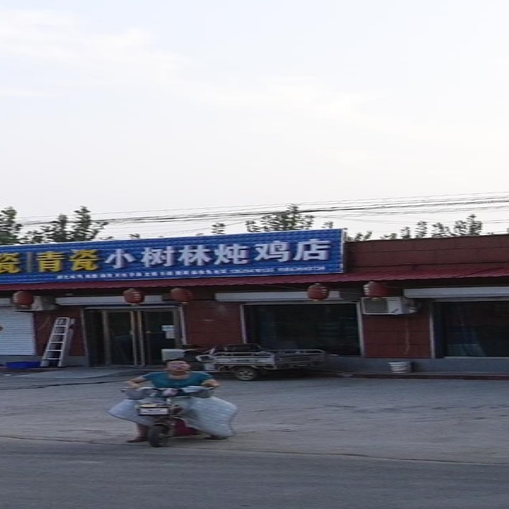 小树林炖鸡店