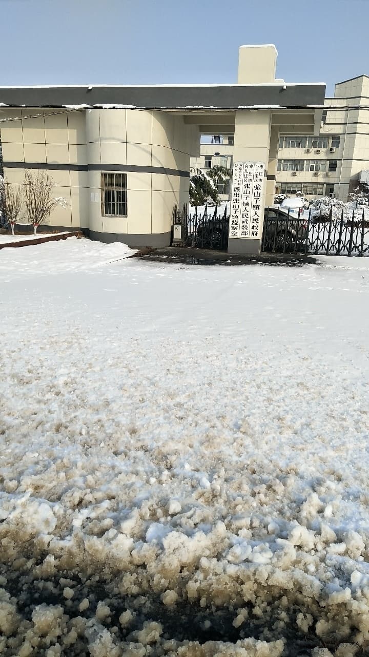 张山子镇人民政府