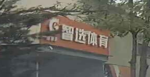 智选体育