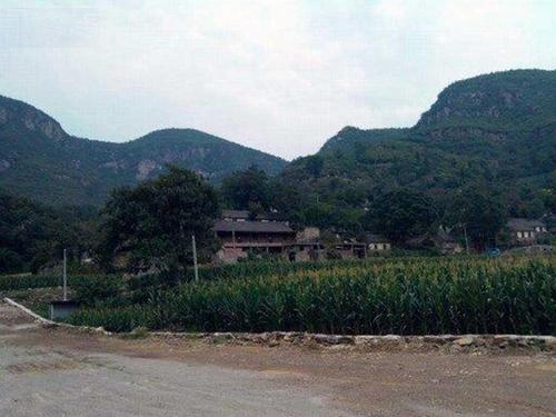 狮豹头乡