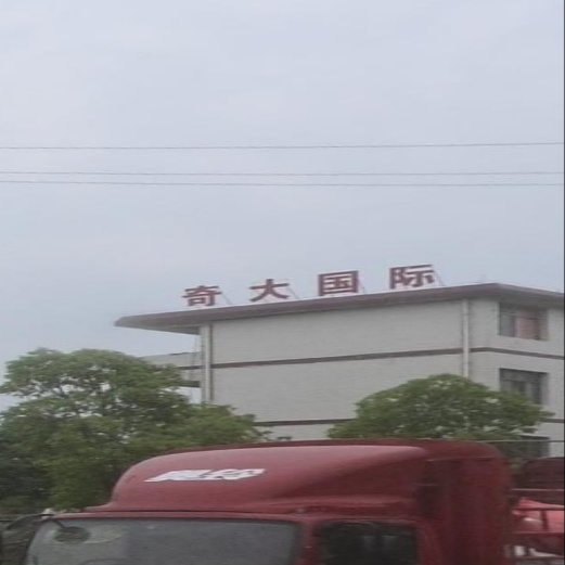 奇大国际