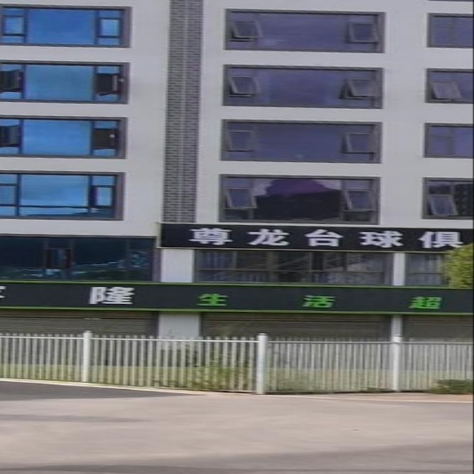 尊龙台球俱乐部
