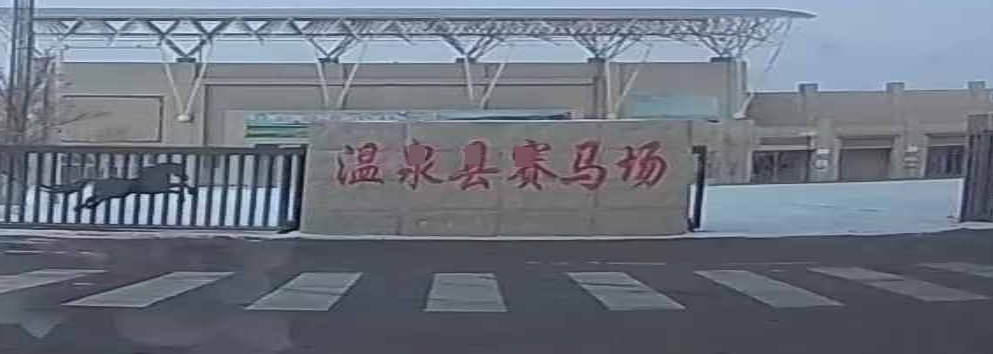 温泉县赛马场