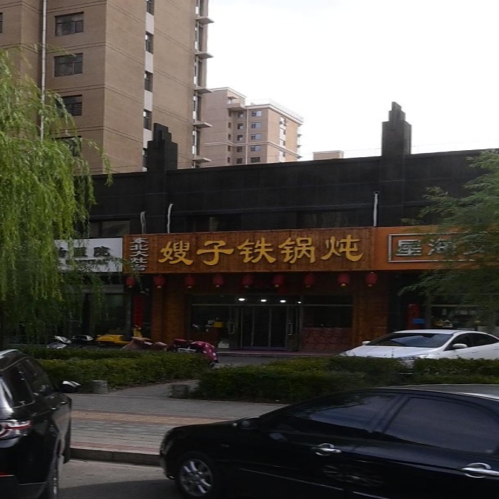 嫂子铁锅炖(万全店)