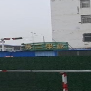 苏二业果