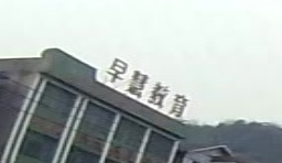 早慧教育
