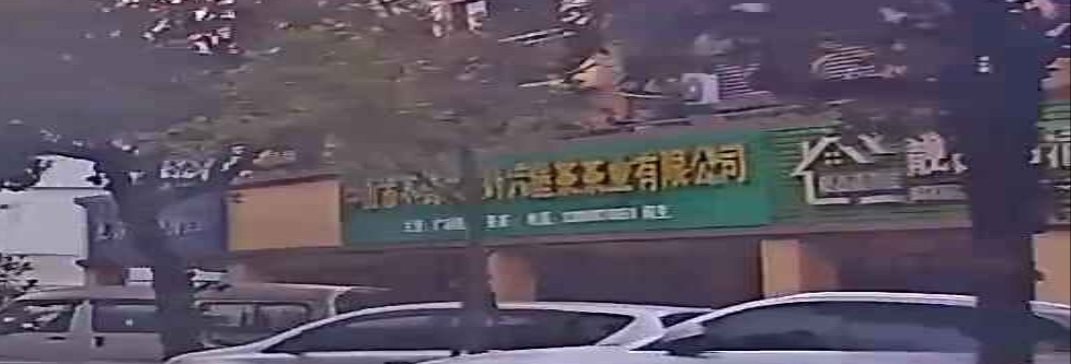 中山市不倚二三叶六堡茶茶叶有限公司