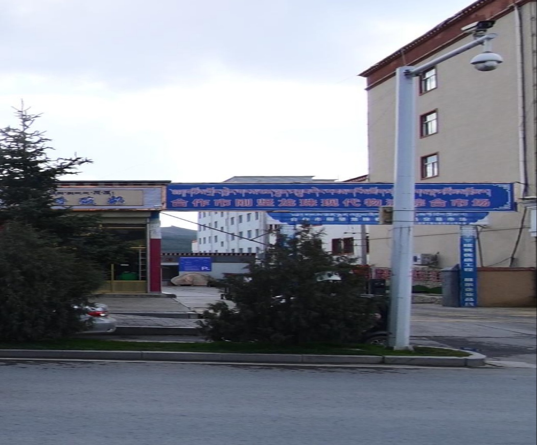 龙珠市场